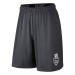 Image of PALMER MENS FLY SHORT 2.0 SPRING 2023